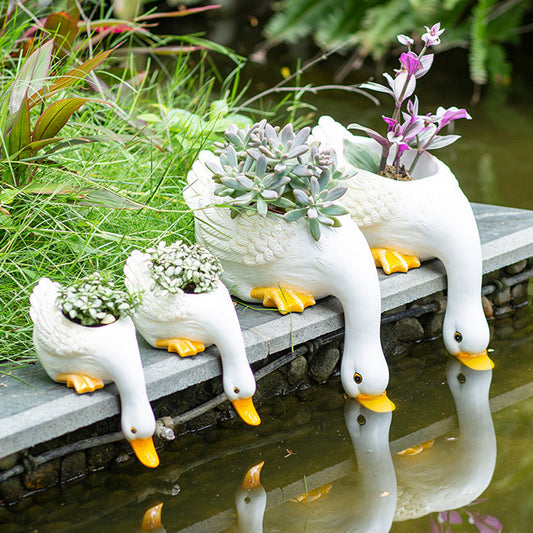 Lovely Duck Fleshy Flowerpot